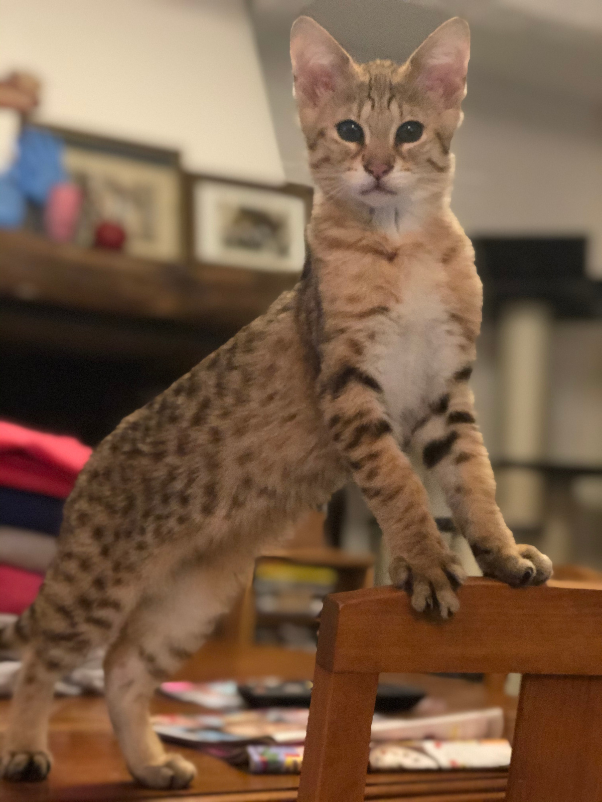 2020 01 25 18.31.52 1